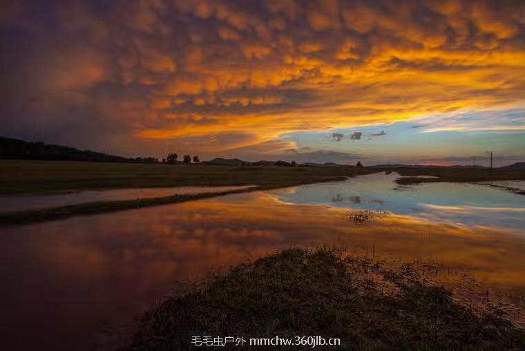 mmexport1502459633707