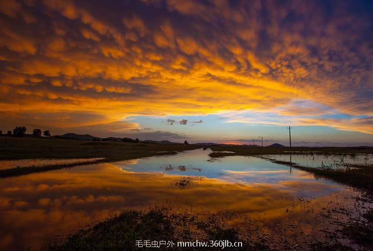 mmexport1502459658130