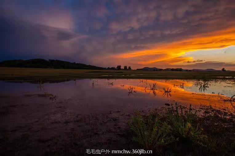 mmexport1502459639730