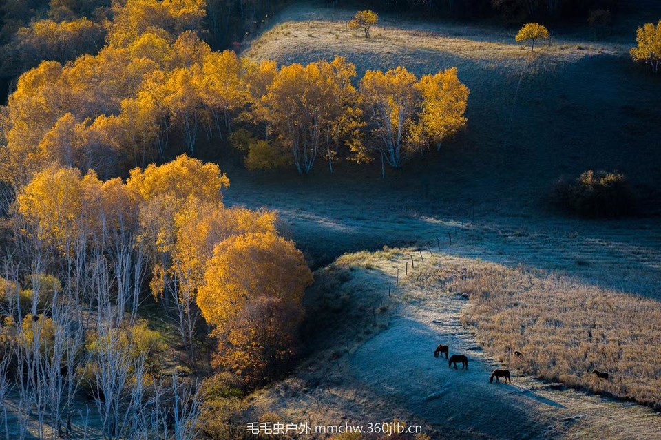 mmexport1503445969091