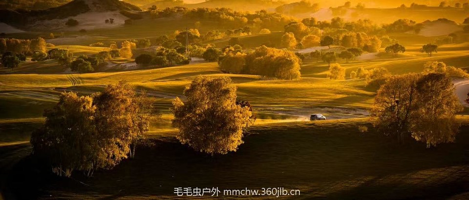 mmexport1503445997541