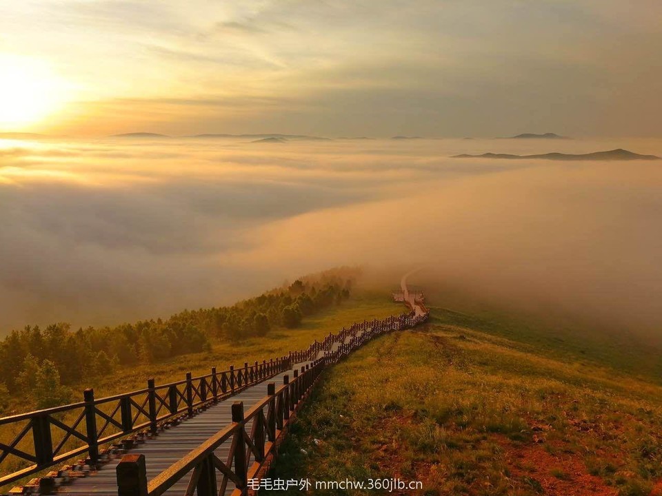 mmexport1503585411949