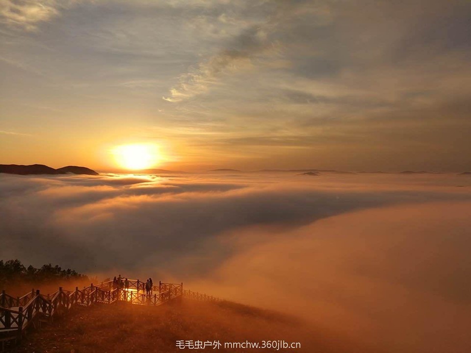 mmexport1503585416549