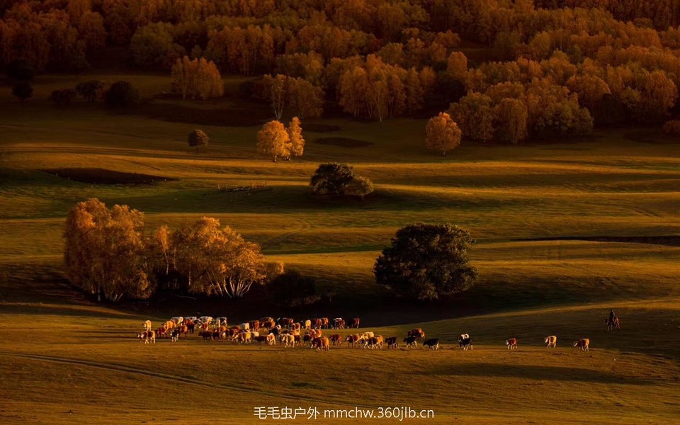 mmexport1503445983743