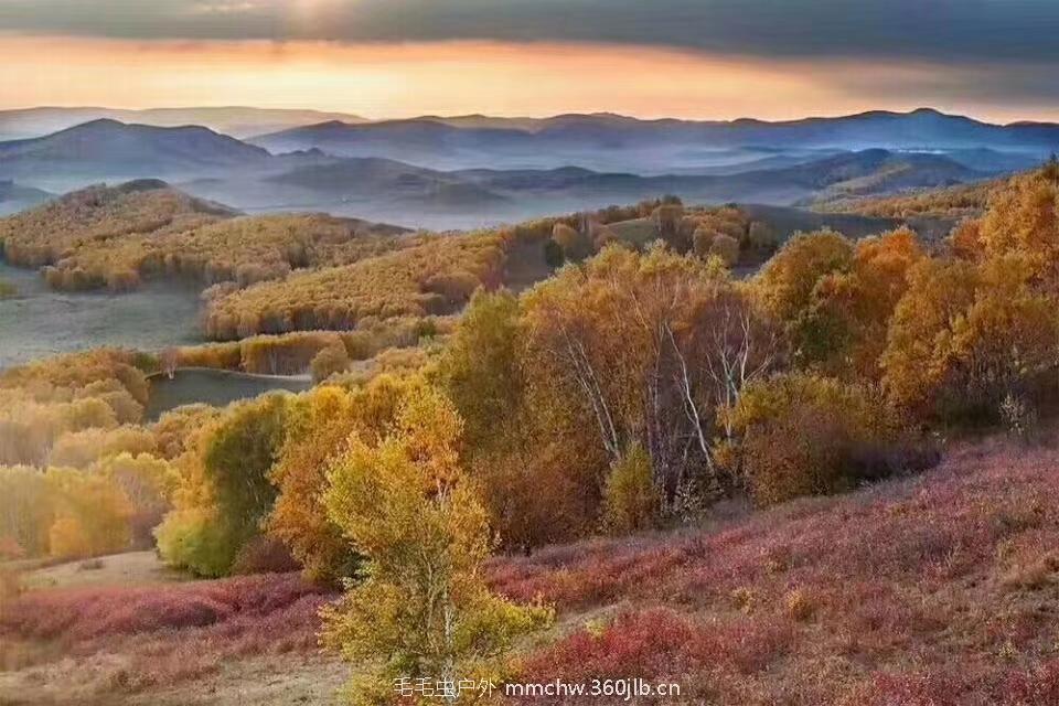 mmexport1503740232083