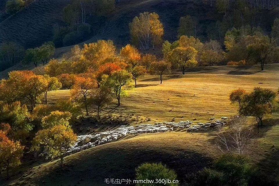 mmexport1504052313347