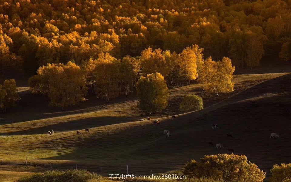 mmexport1504052319468