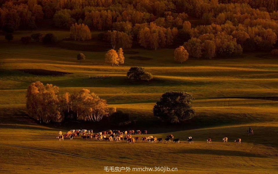 mmexport1504052327422