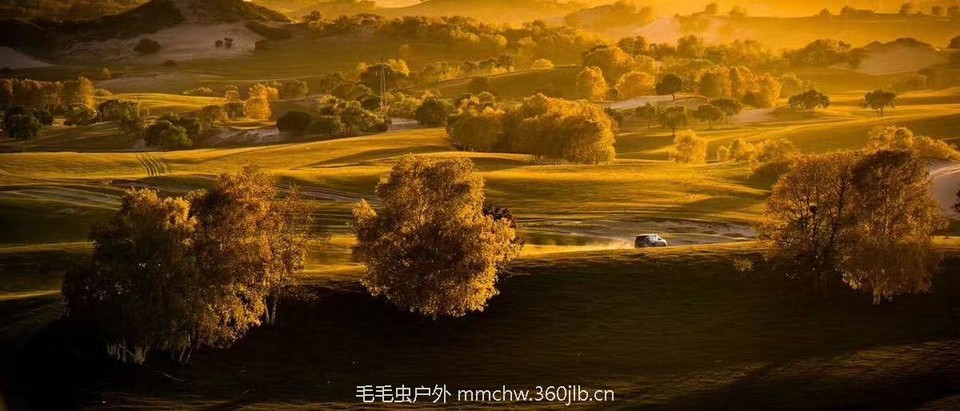 mmexport1504052331215