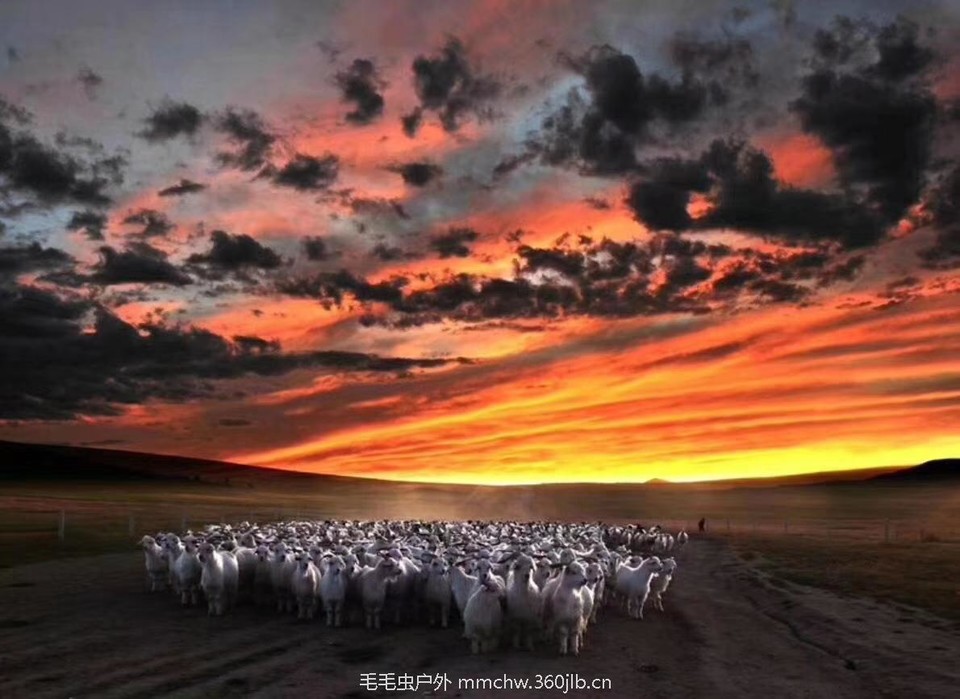 mmexport1504970704171