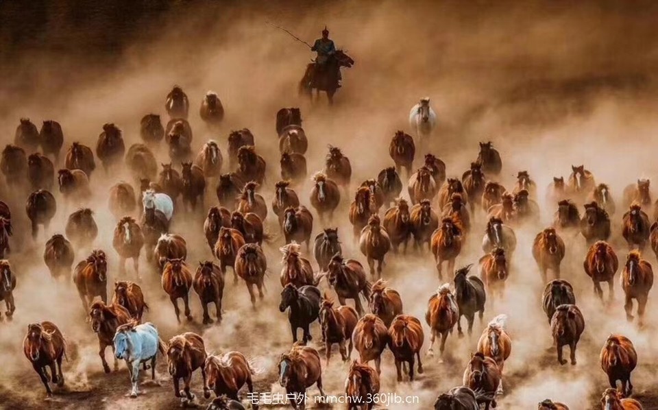 mmexport1504970716621