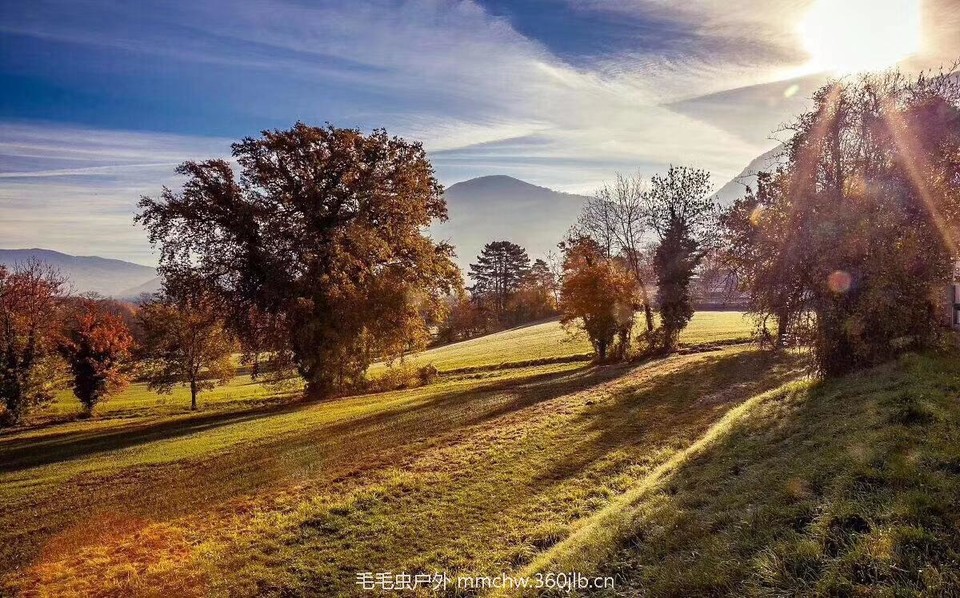 mmexport1505281604274