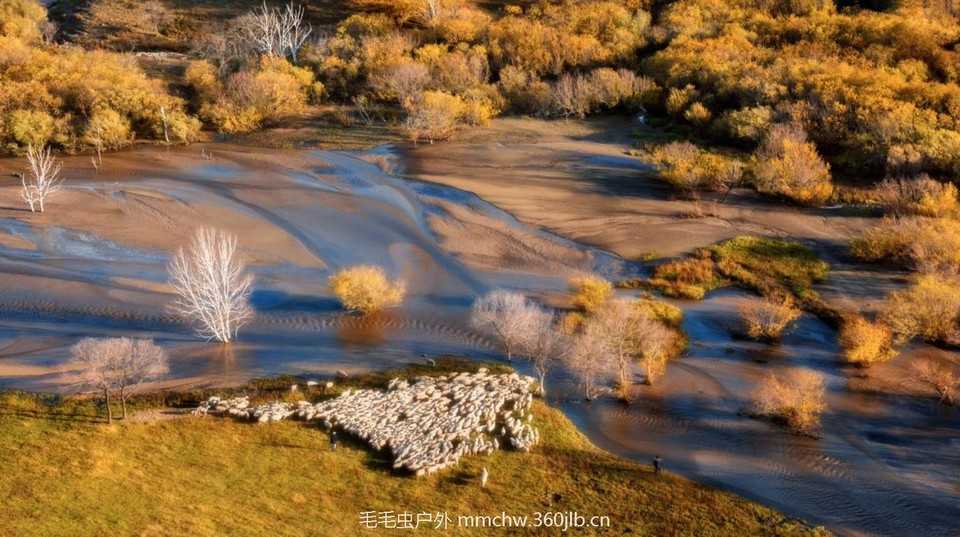 mmexport1505757380318