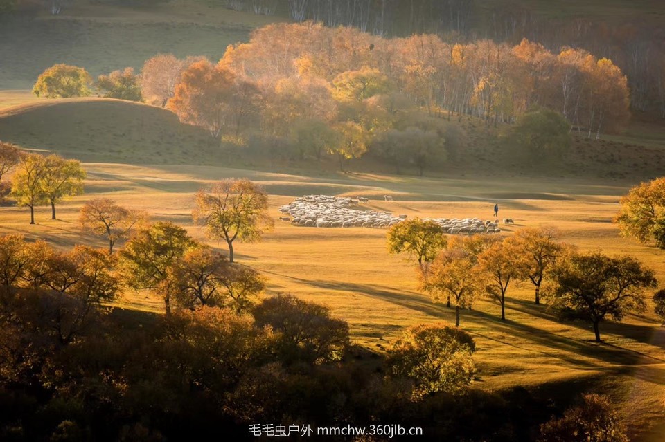 mmexport1505757384920