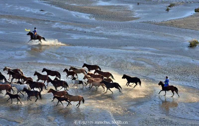 mmexport1505882451038