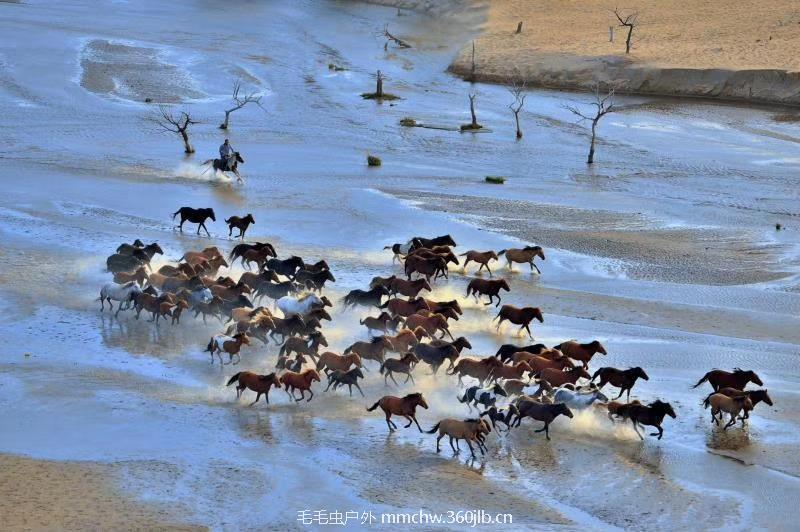 mmexport1505882455249