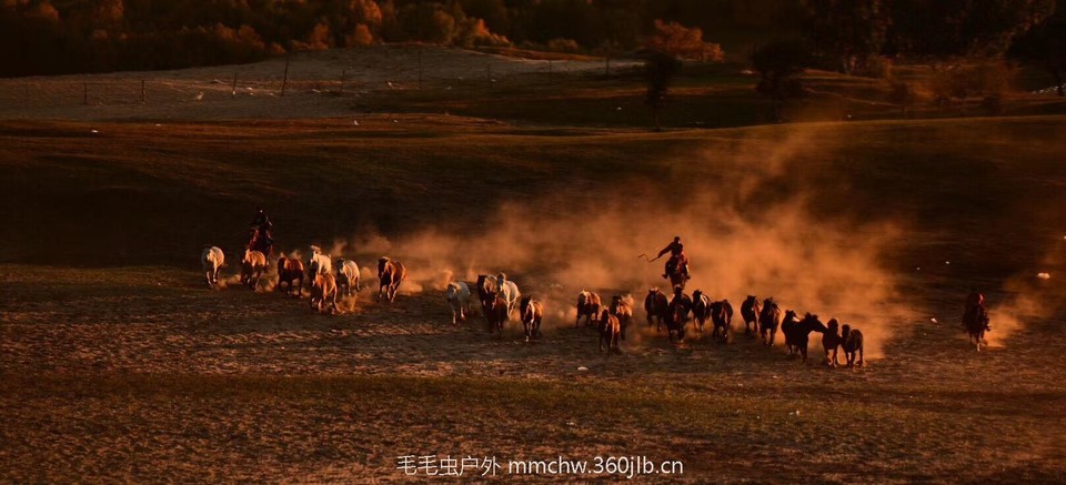 mmexport1505920069790