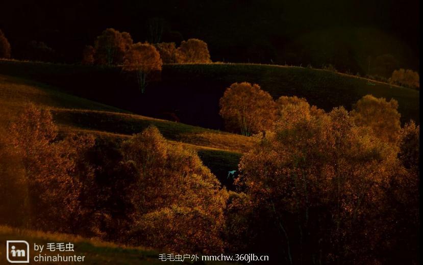 mmexport1506233546036