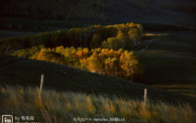 mmexport1506233562931