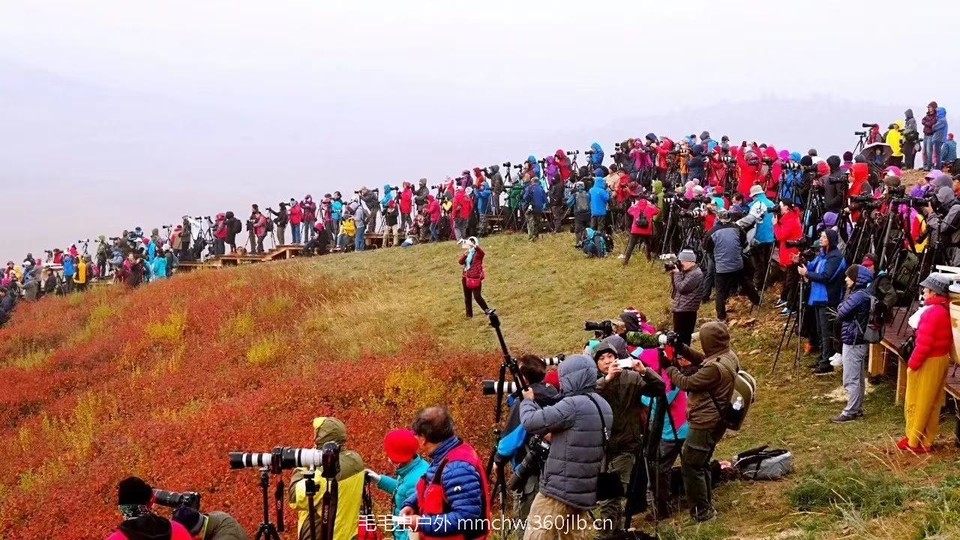 mmexport1506469521894