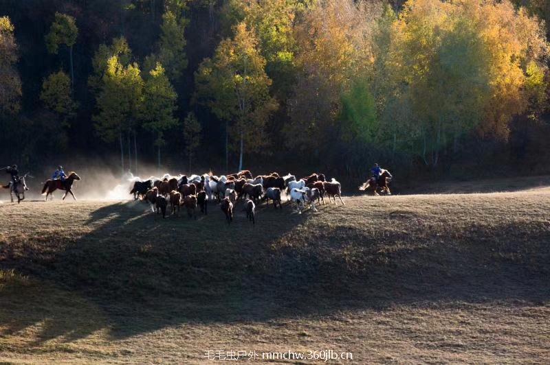 mmexport1506633299885