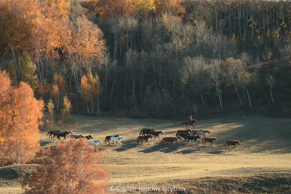 mmexport1506974831024