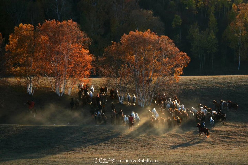 mmexport1507122047236