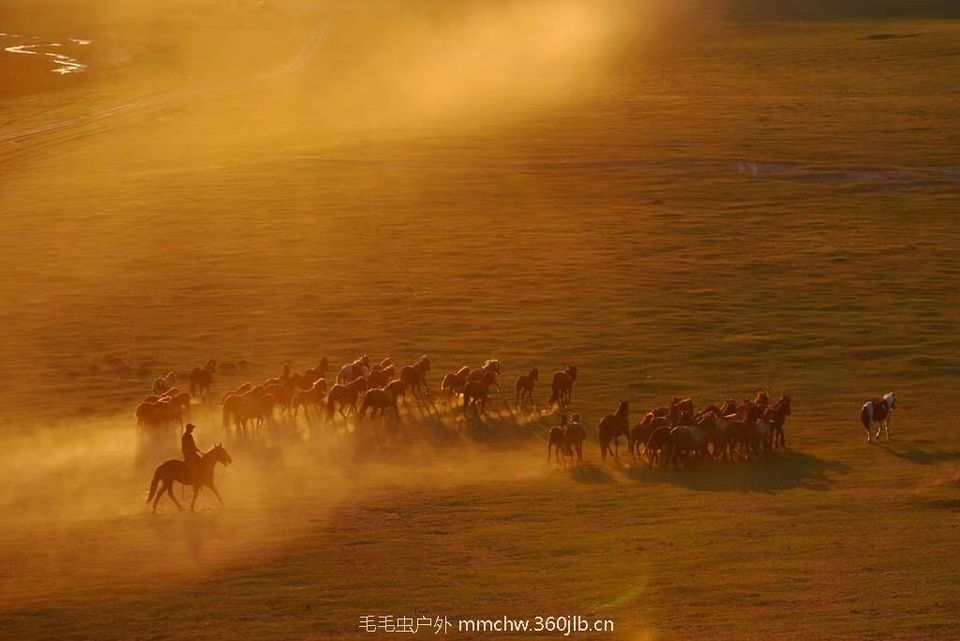 mmexport1521208064191