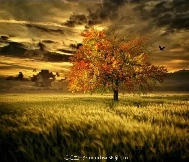 mmexport1521209544014