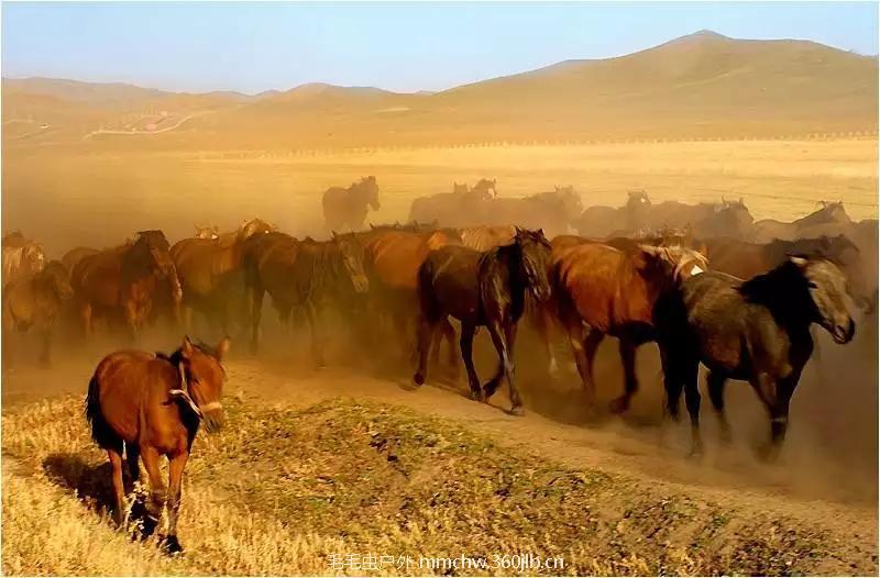 mmexport1521209982654