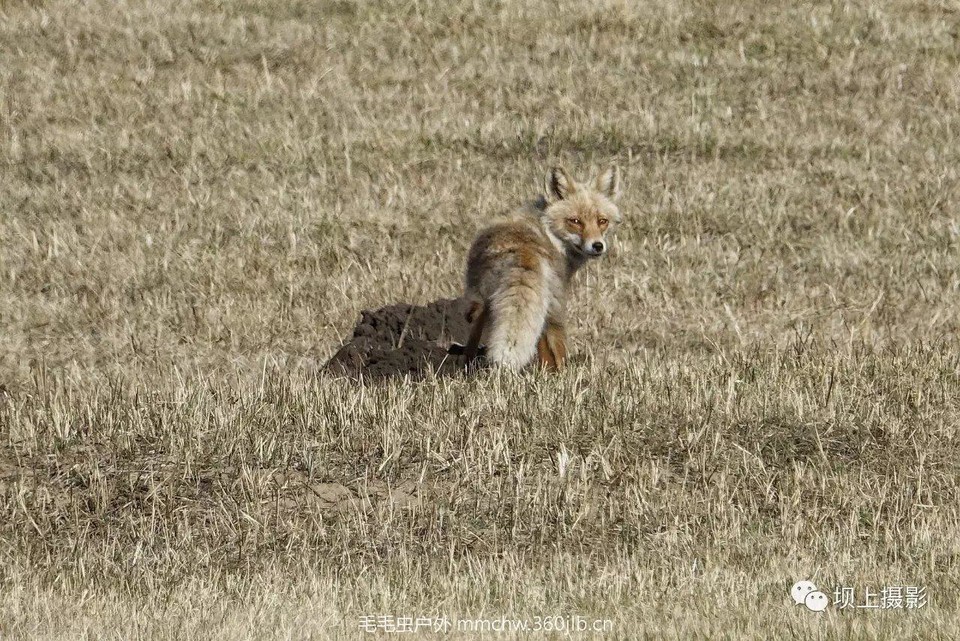 mmexport1493736296160_ep_slim_cd704e9a7695f28fda1b71347db1806e_ep_slim