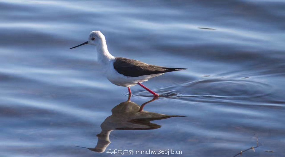 mmexport1494815885275_ep_slim_cd704e9a7695f28fda1b71347db1806e_ep_slim