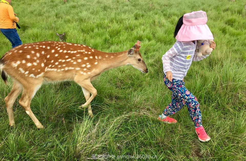 mmexport1502473693235