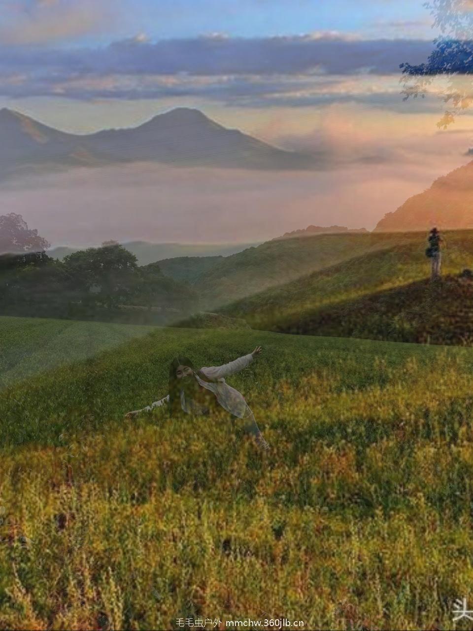 mmexport1502554820439-01