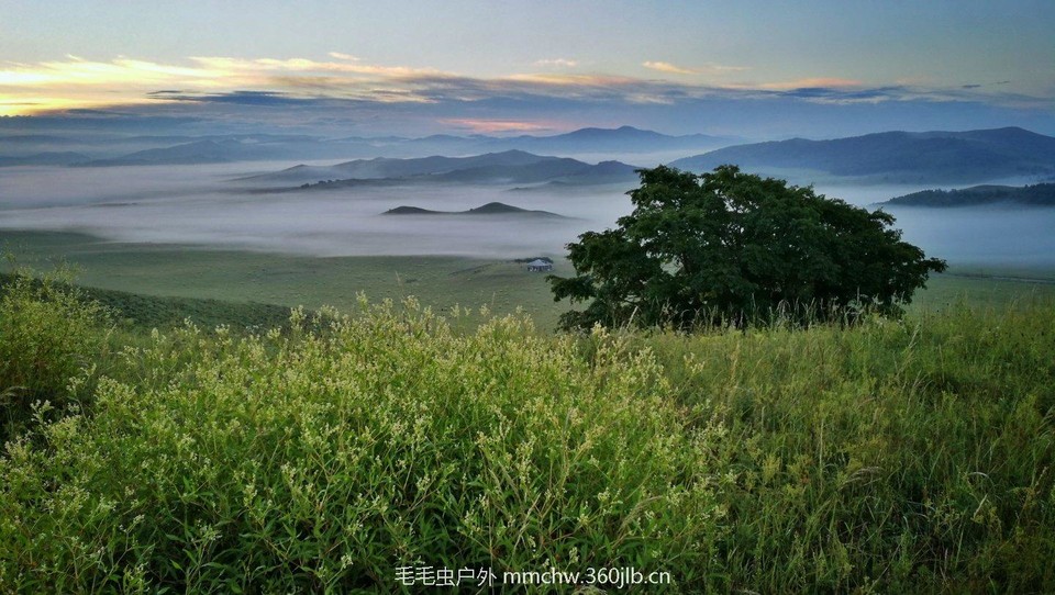 mmexport1503083723715