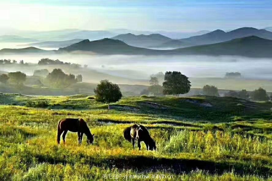 mmexport1504052407201