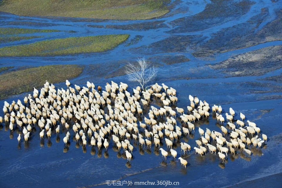 mmexport1504733413395