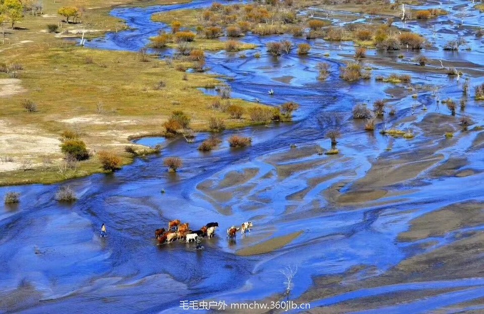 mmexport1504740932352