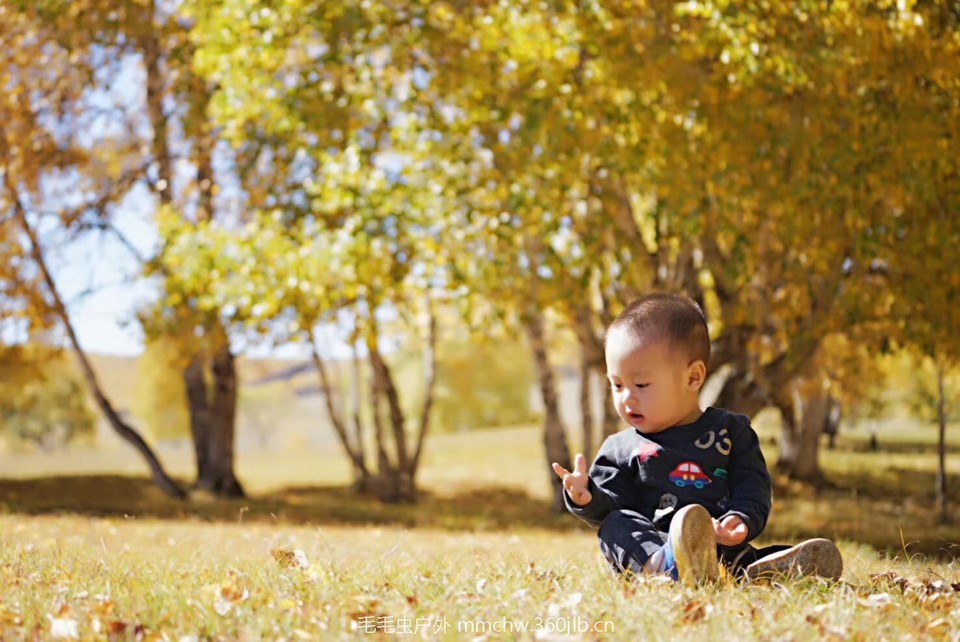 mmexport1506267693345