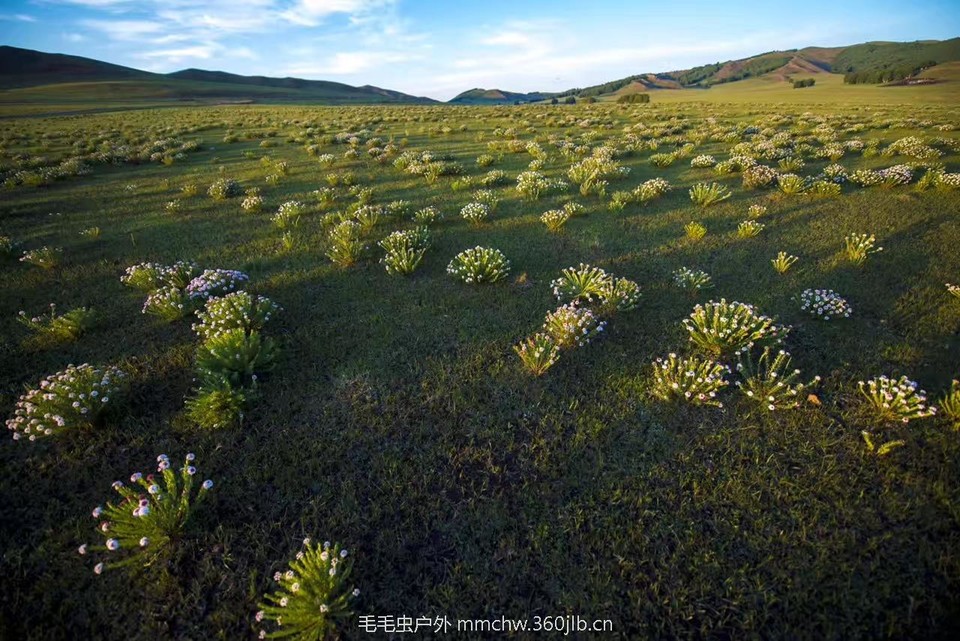 mmexport1521206105588