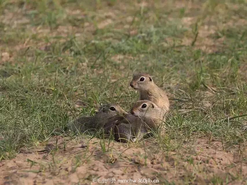 mmexport1521207257859