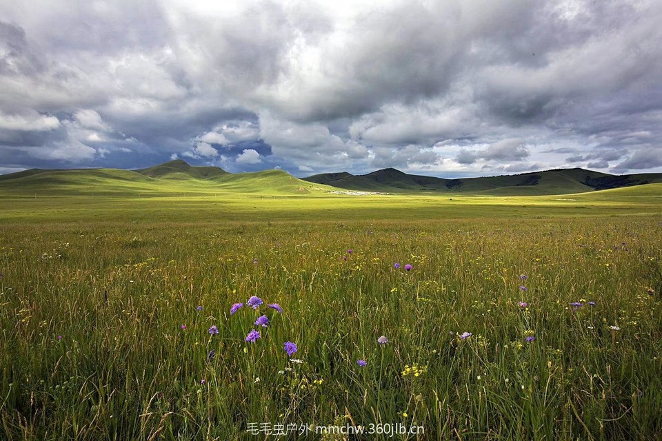 mmexport1521207822714