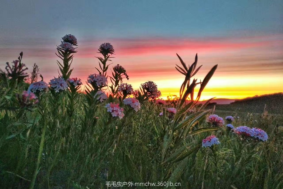 mmexport1521208185535