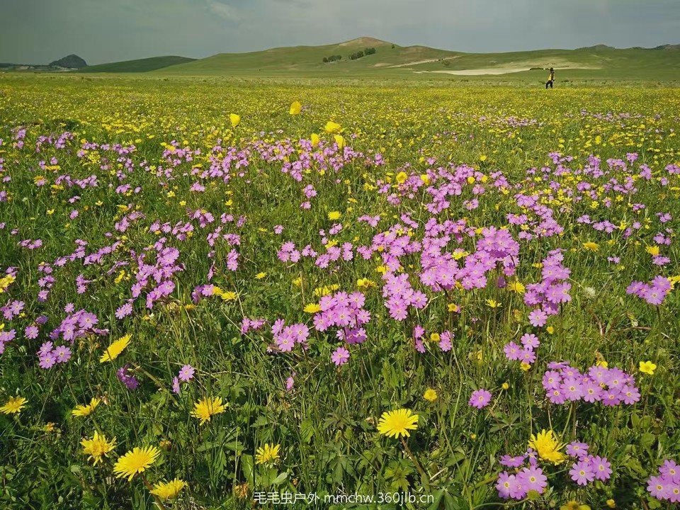 mmexport1521208447669