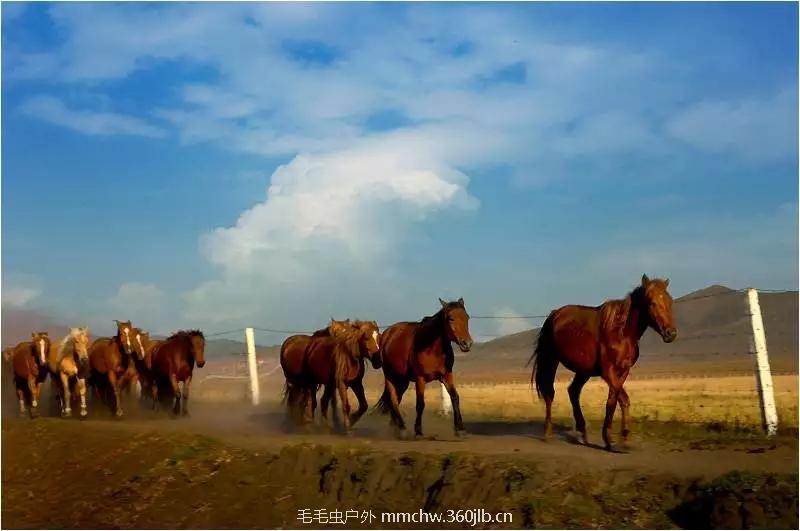 mmexport1521209995568