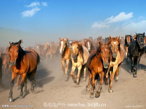 u=3995610343,1755824718&fm=200&gp=0