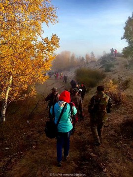 IMG_20160925_100640_ep_slim