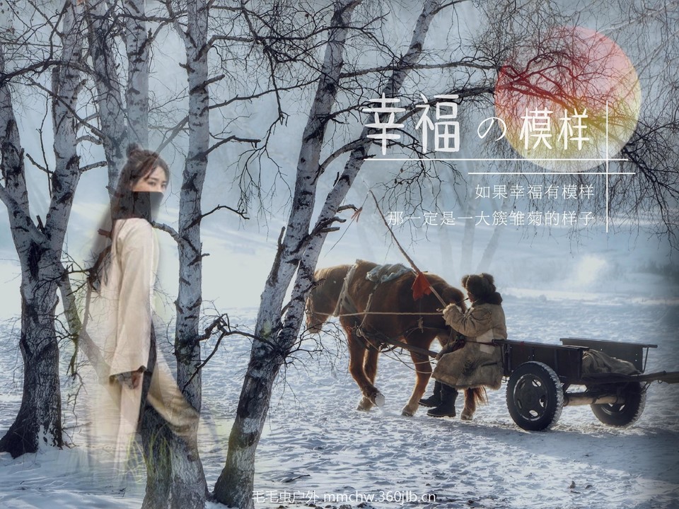 IMG_20180204_160022-01