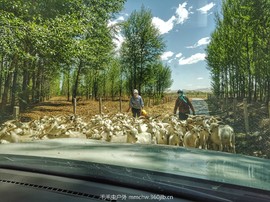 IMG_20180620_100908-01