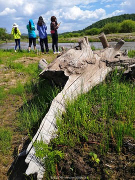 IMG_20180623_145826-01